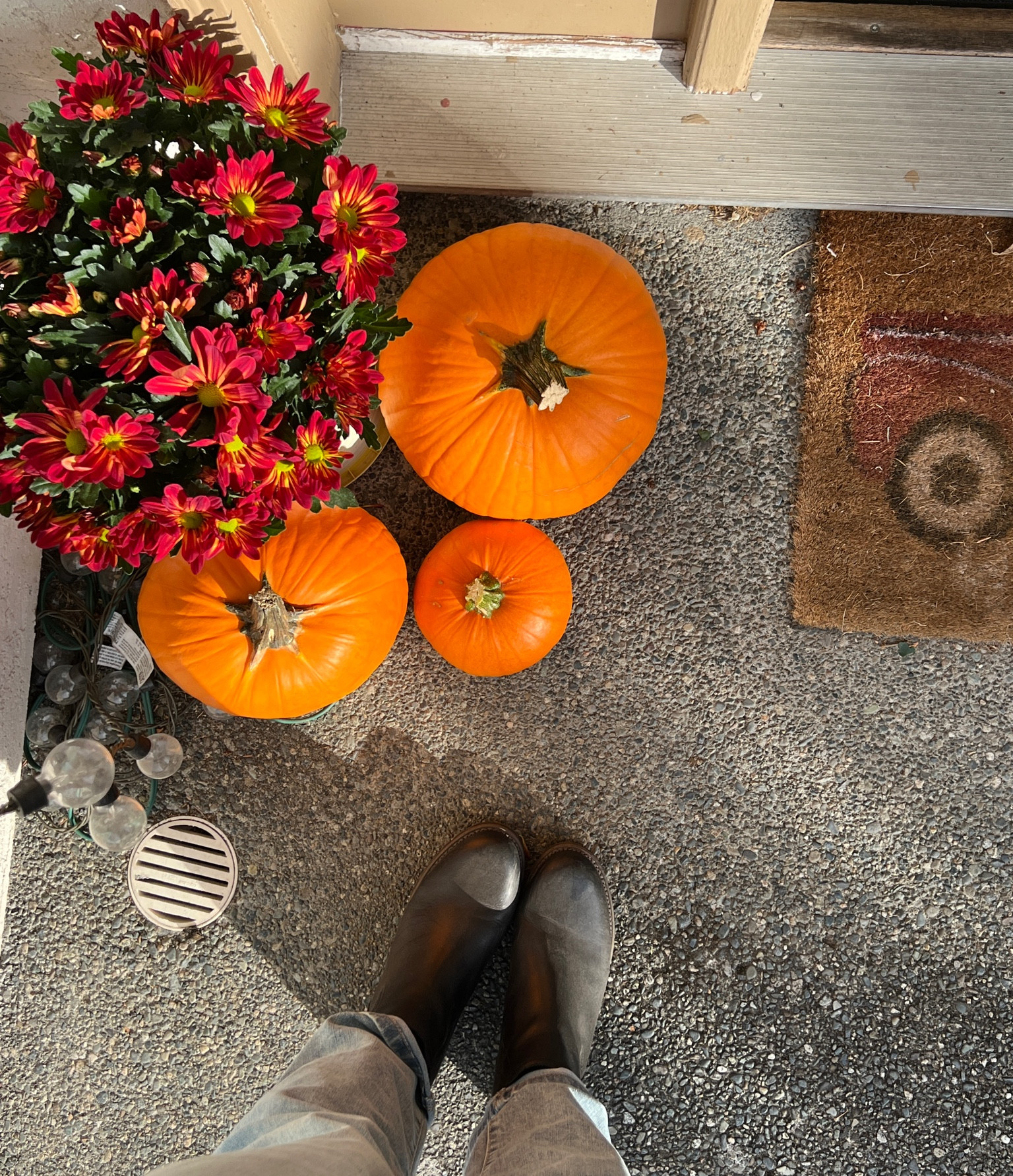 Decorated the porch this weekend! I’ve been wearing my new boots on repeat and am loving them 🖤

#LTKfindsunder100 #LTKshoecrush #LTKSeasonal