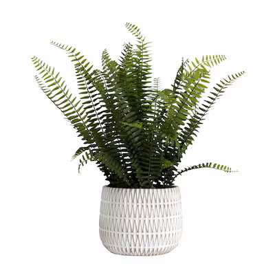 allen + roth  18-in Green Indoor Artificial Boston Fern Plants | Lowe's