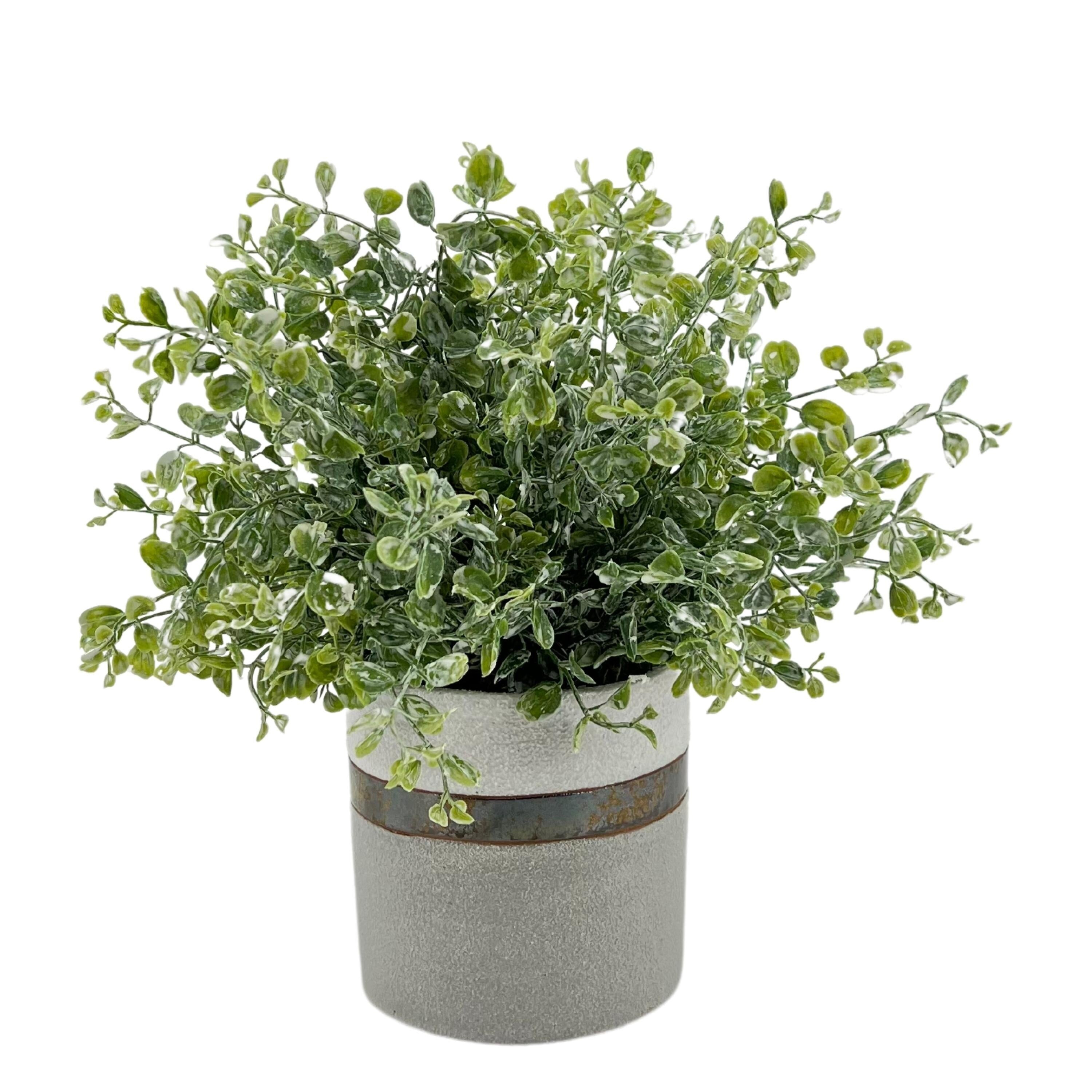 Faux Eucalyptus in White/ Bronze/ Grey Ceramic Vase | Bed Bath & Beyond