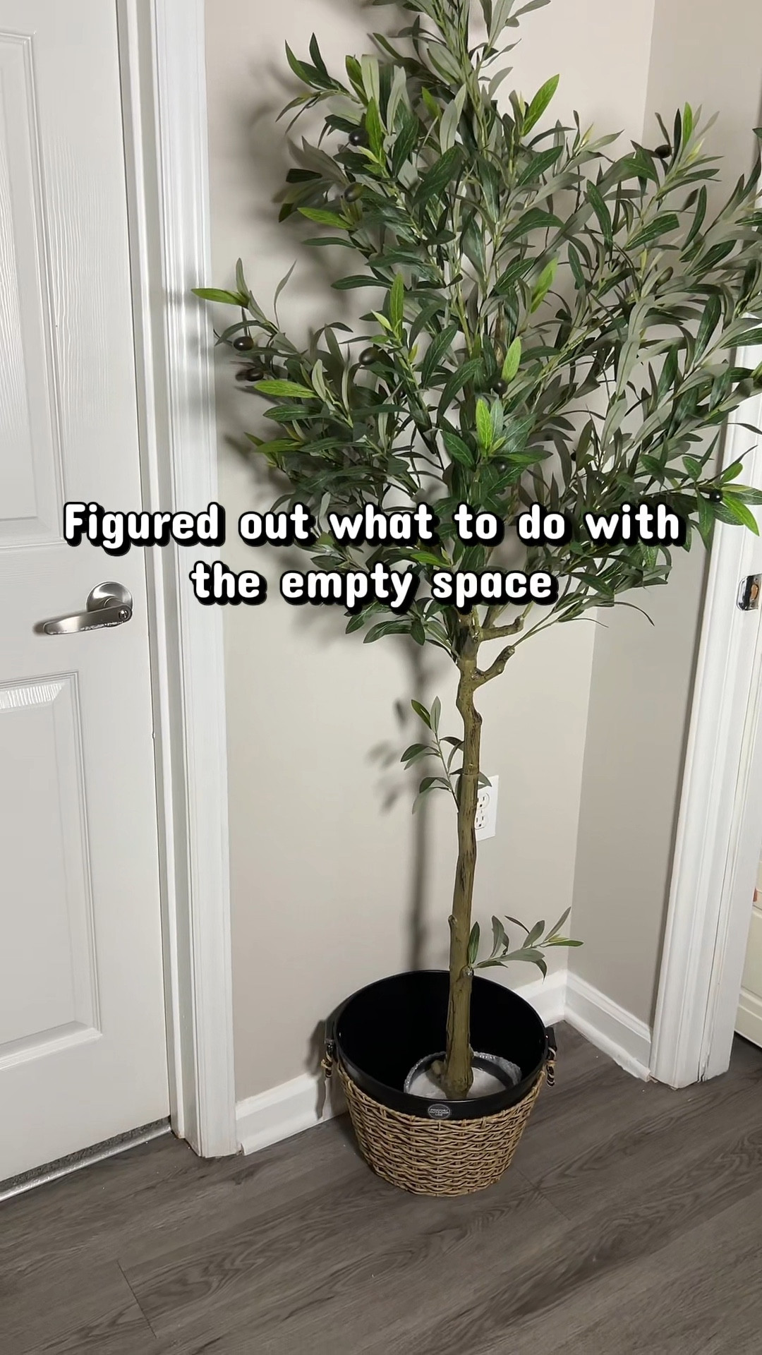 This olive tree brought so much beauty and joy to this empty corner space right now it’s on sale 

#LTKSaleAlert #LTKSpringSale #LTKHome