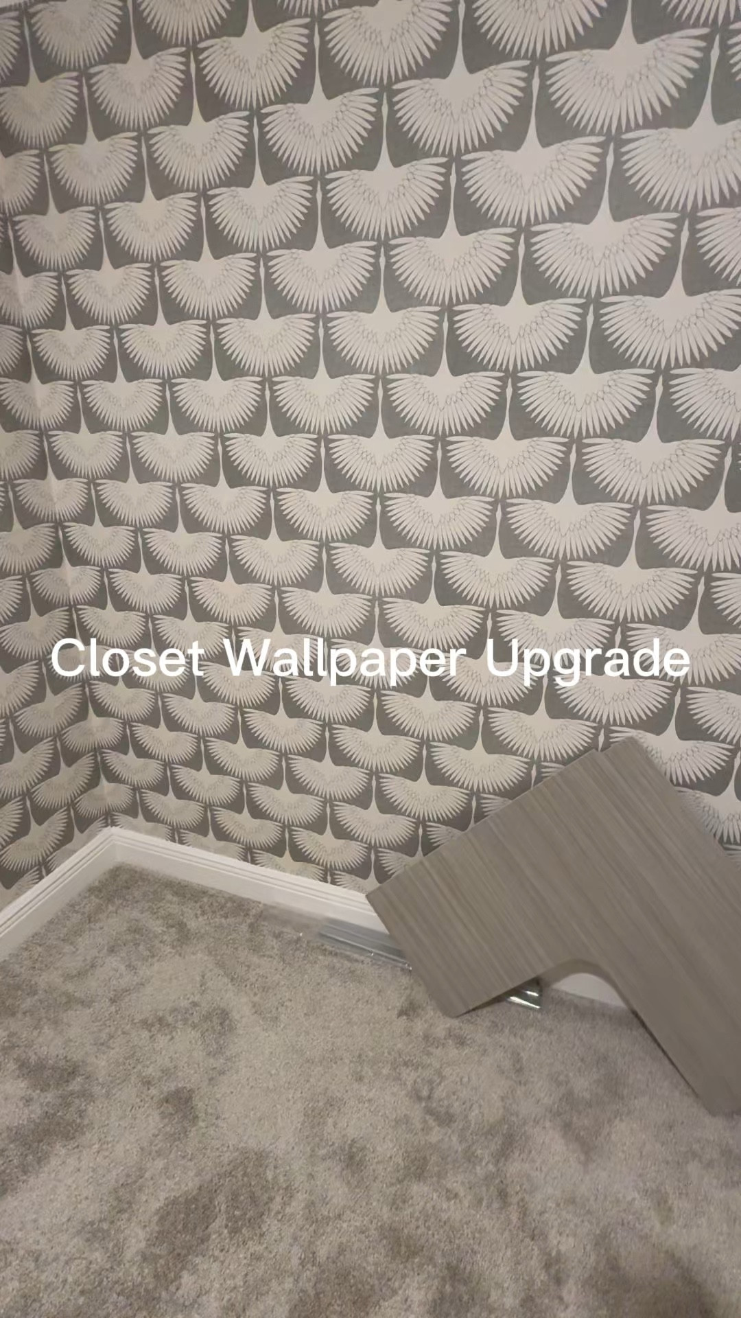 I used this peel-and-stick wallpaper to line our DIY closet before installing the shelving system, and it ended up being one of my favorite details in the space.

It’s the Genevieve Gorder (HGTV) crane pattern from Amazon and the color we used is Chalk. The pattern repeats nicely so it lines up well when installing, and the backing is gray which helps keep the wall color from showing through.

Our walls are textured in this house, so I did lightly sand them first before applying the wallpaper and that helped it stick really well.

I linked the paper and the closet system that we used to build this out and also the clear acrylic dividers. I used to organize my purse and bags.


#LTKHome
