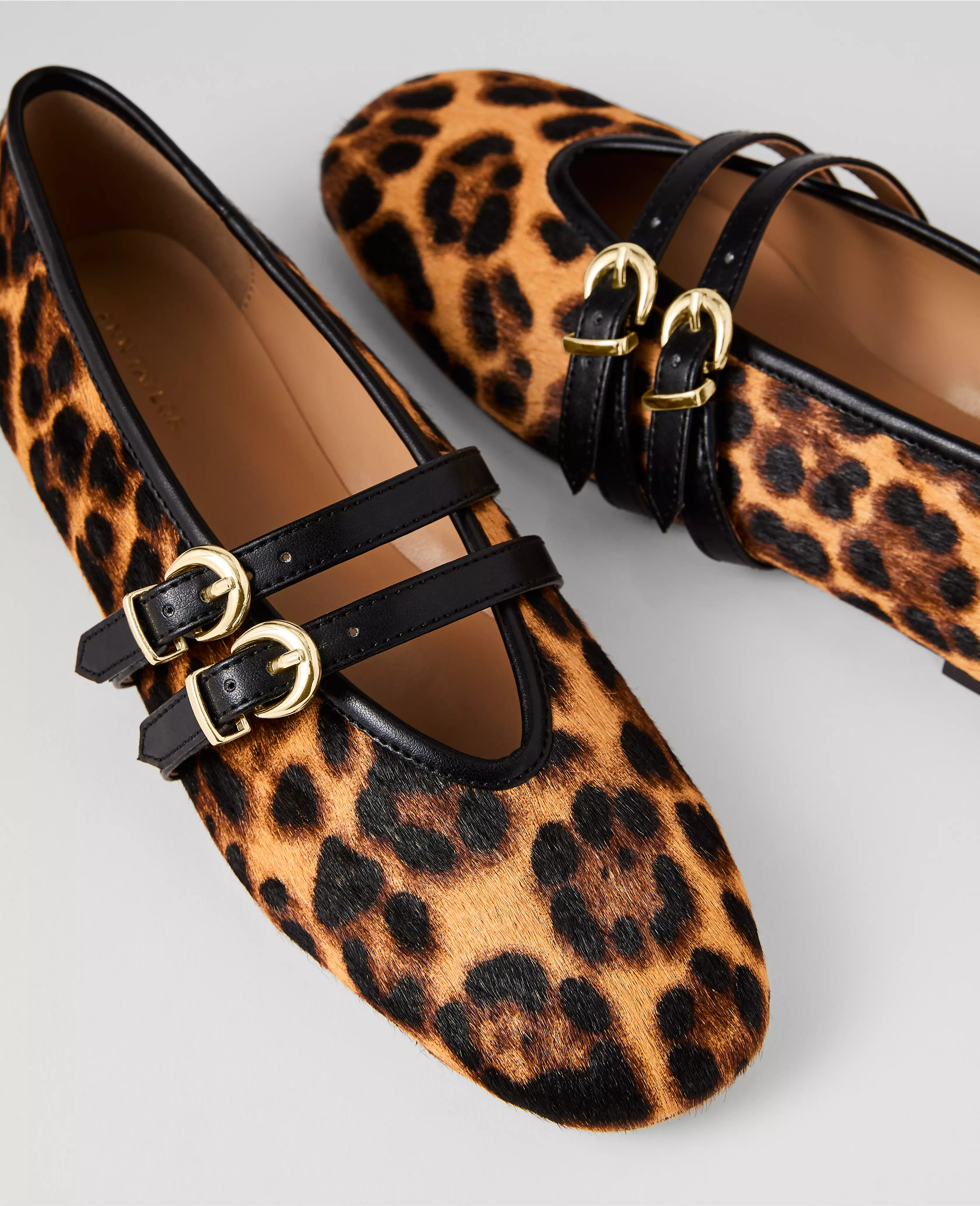 Buckled Calf Hair Ballet Flat | Ann Taylor