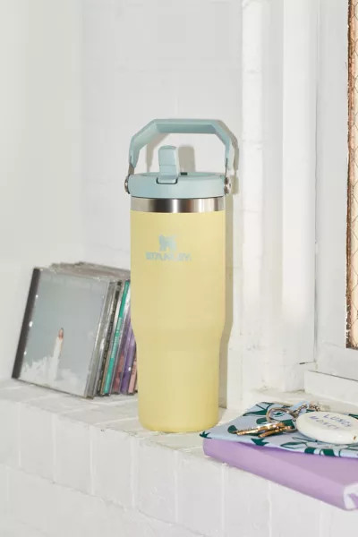 Stanley Ice Flow Flip Straw 30 oz Tumbler | Urban Outfitters (US and RoW)