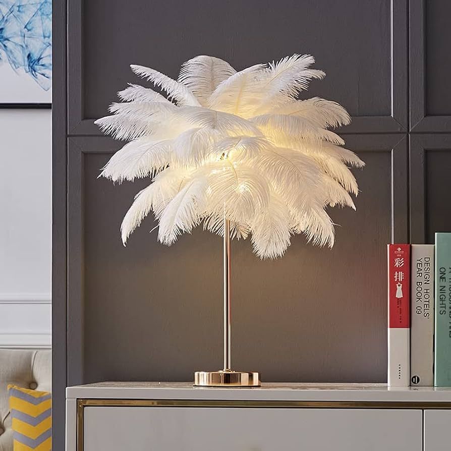 LINCWONZ White Ostrich Feather Lamp Modern Bedside Lamp, Bedroom Table Lamp Home Ofice Bedroom Pi... | Amazon (US)