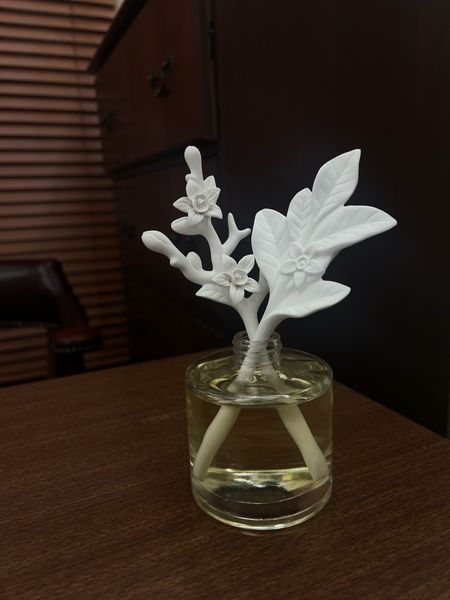 William Sonoma
Home office
Office 
Lawyer 
Attorney 
Law school
Office decor
Reed diffuser
Floral decor
Porcelain decor

#LTKhome #LTKFind #LTKGiftGuide