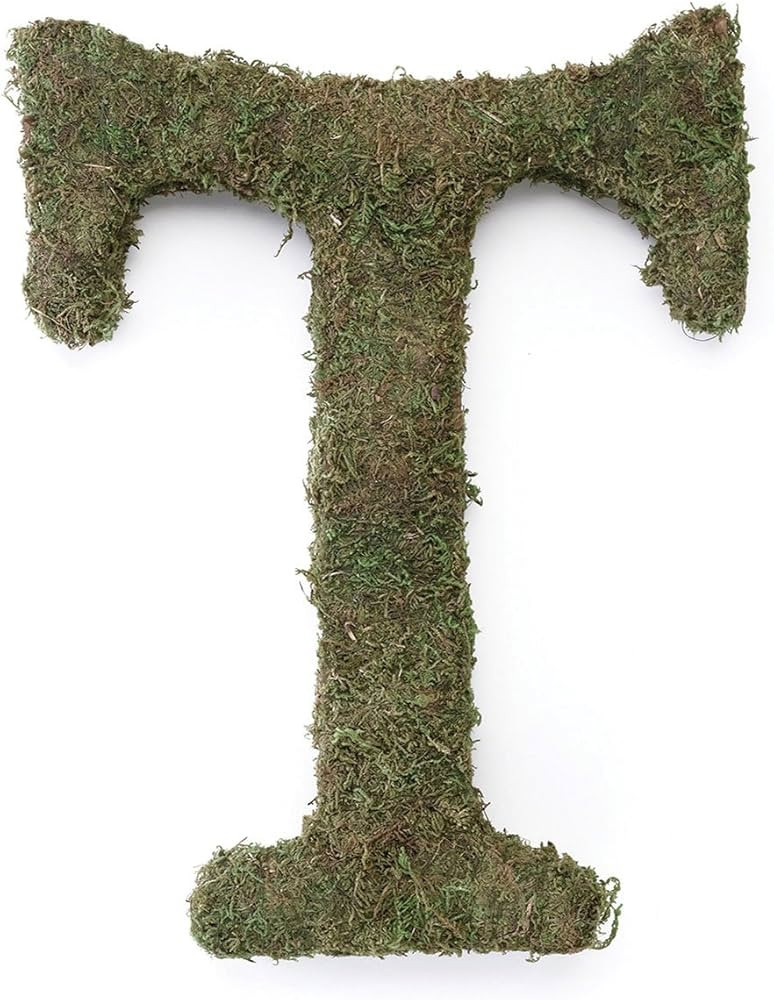 Lillian Rose Moss 15" T Monogram Letter (MG600 T) | Amazon (US)