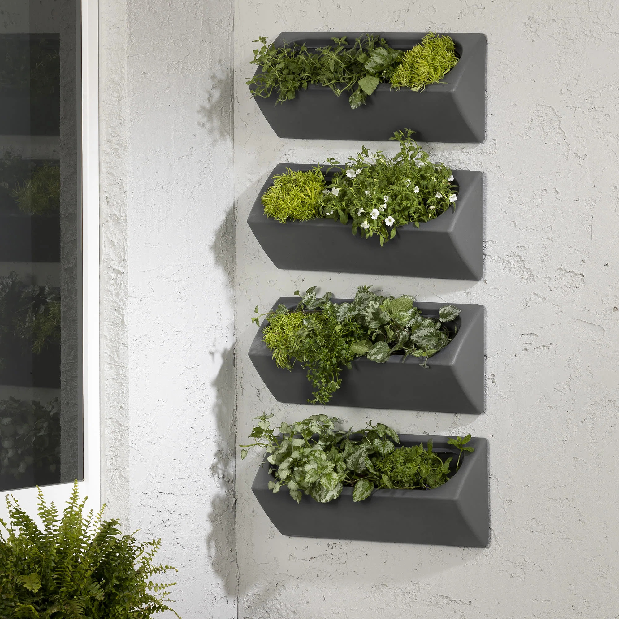 Dalya Wall Planter | Wayfair North America