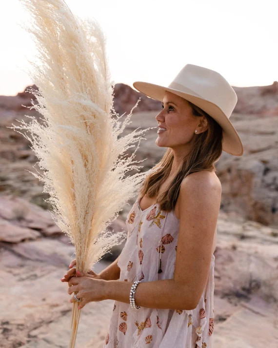 PAMPAS GRASS 3 Stems  Type 2 Bleach White 4 feet Dried | Etsy | Etsy (US)
