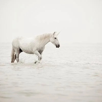 The Last Unicorn by Irene Suchocki on Artfully Walls | Artfully Walls