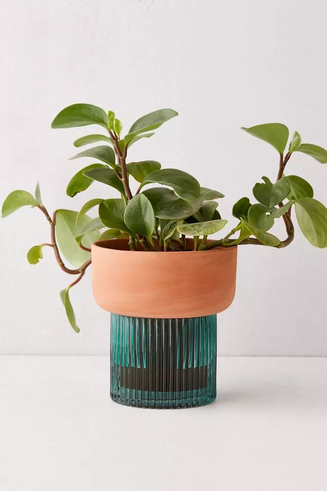 Izzie Self-Watering Planter | Urban Outfitters (US and RoW)