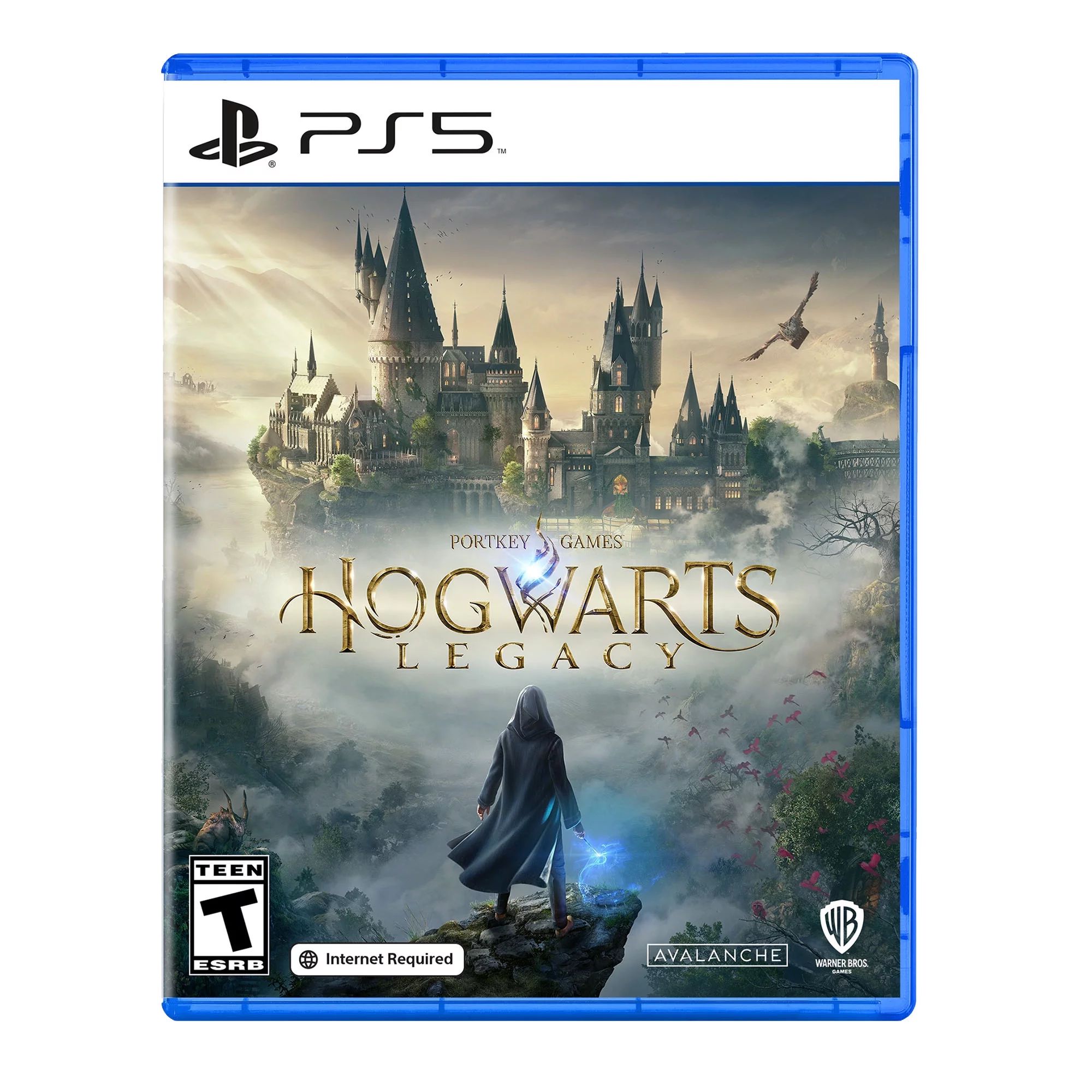 Hogwarts Legacy - PlayStation 5 | Walmart (US)
