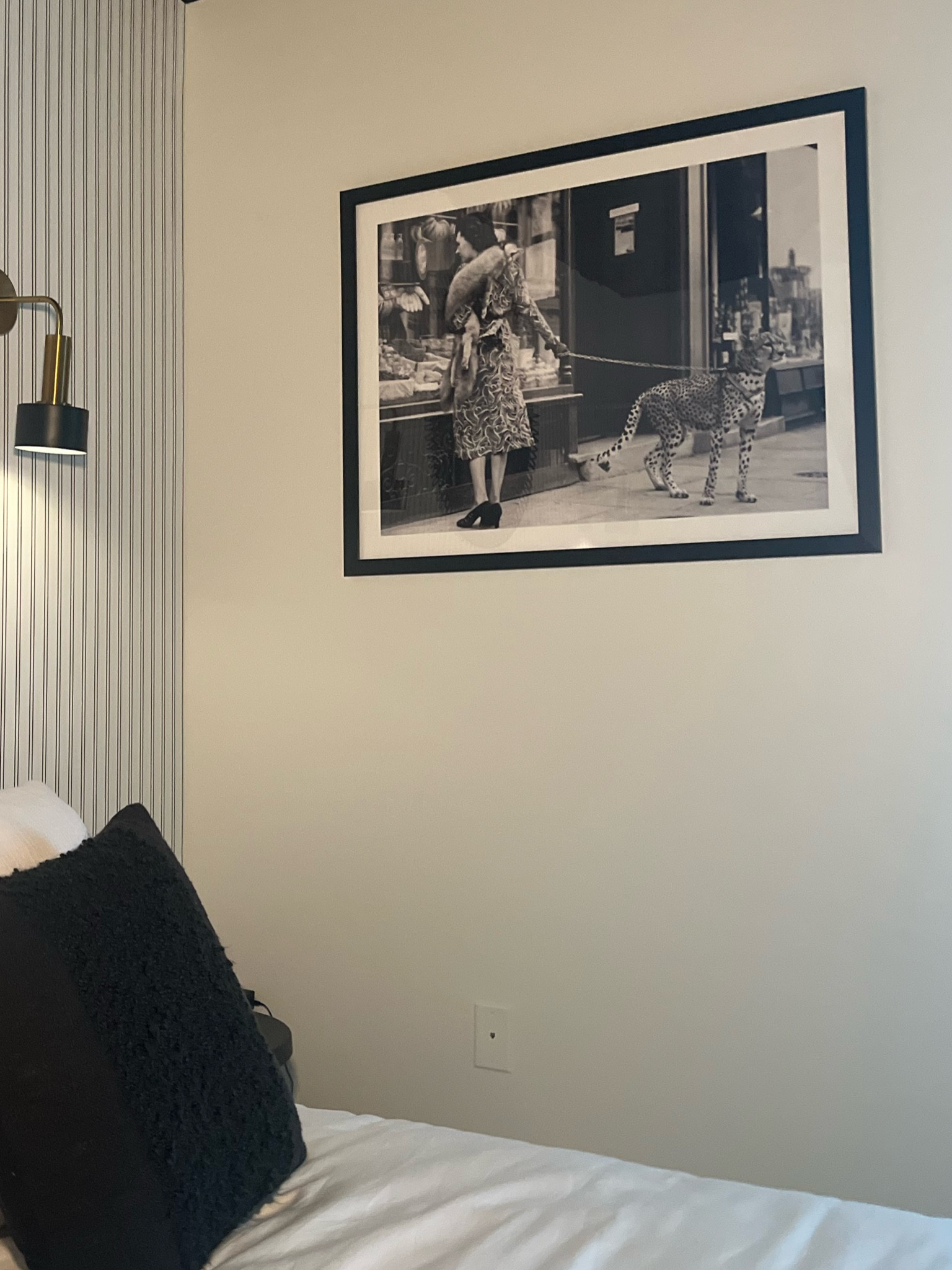 Leopard on a leasLeo

#LTKHome #LTKStyleTip