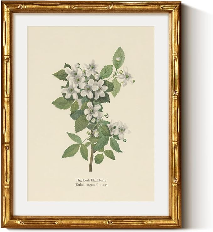 VIYYIEA Gold Framed Bamboo Wall Art, Vintage Botanical Prints, Flowers Pictures Wall Decor, Antiq... | Amazon (US)