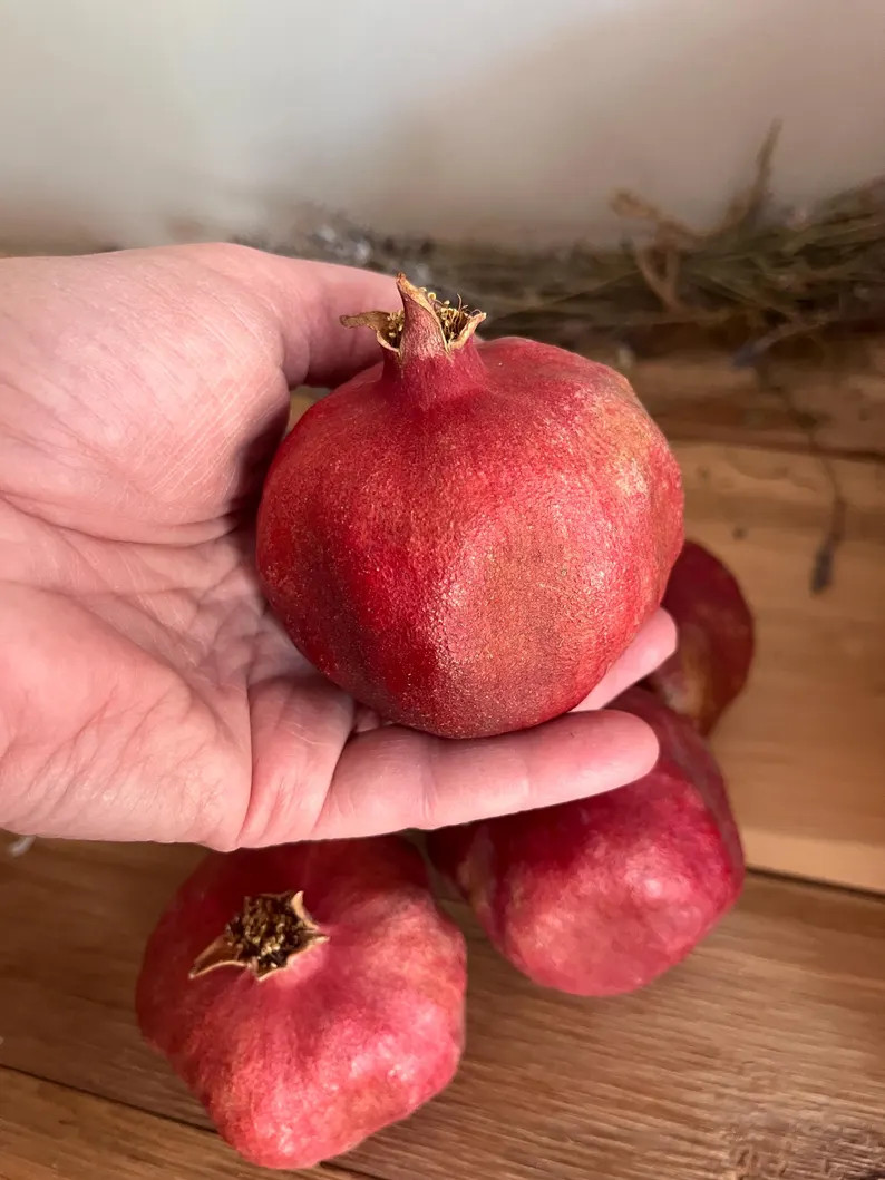 Set of 6 Whole Dried Pomegranates, Botanical Table Centerpiece, Rustic Farmhouse Decor | Etsy (Global)