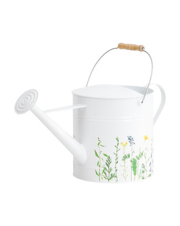 10x20 Watering Can | TJ Maxx