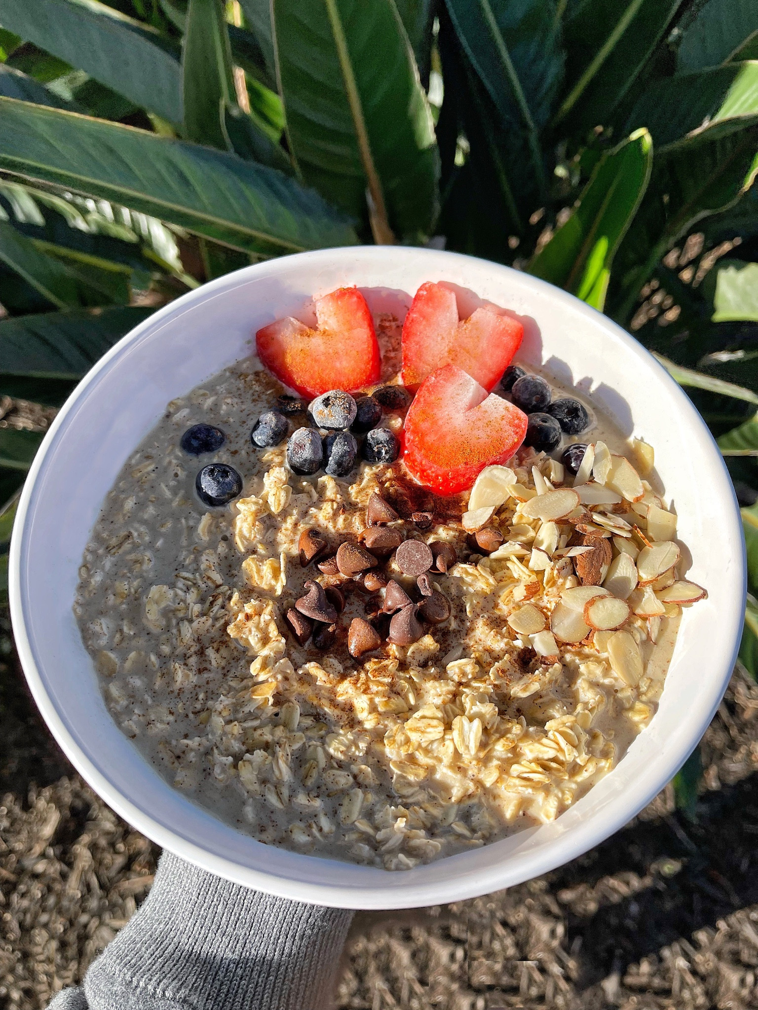 Valentine Oatmeal Bowl. ❤️

To make add 1 cup of oats to a small sauce pan. Cover oats with milk, add a few dashes of cinnamon, stir and bring to a simmer until oats are soft. Add more milk depending on your preference. Top with chocolate chips, blueberries, heart shaped strawberries and sliced almonds. 

#LTKfit #LTKunder50 #LTKfamily