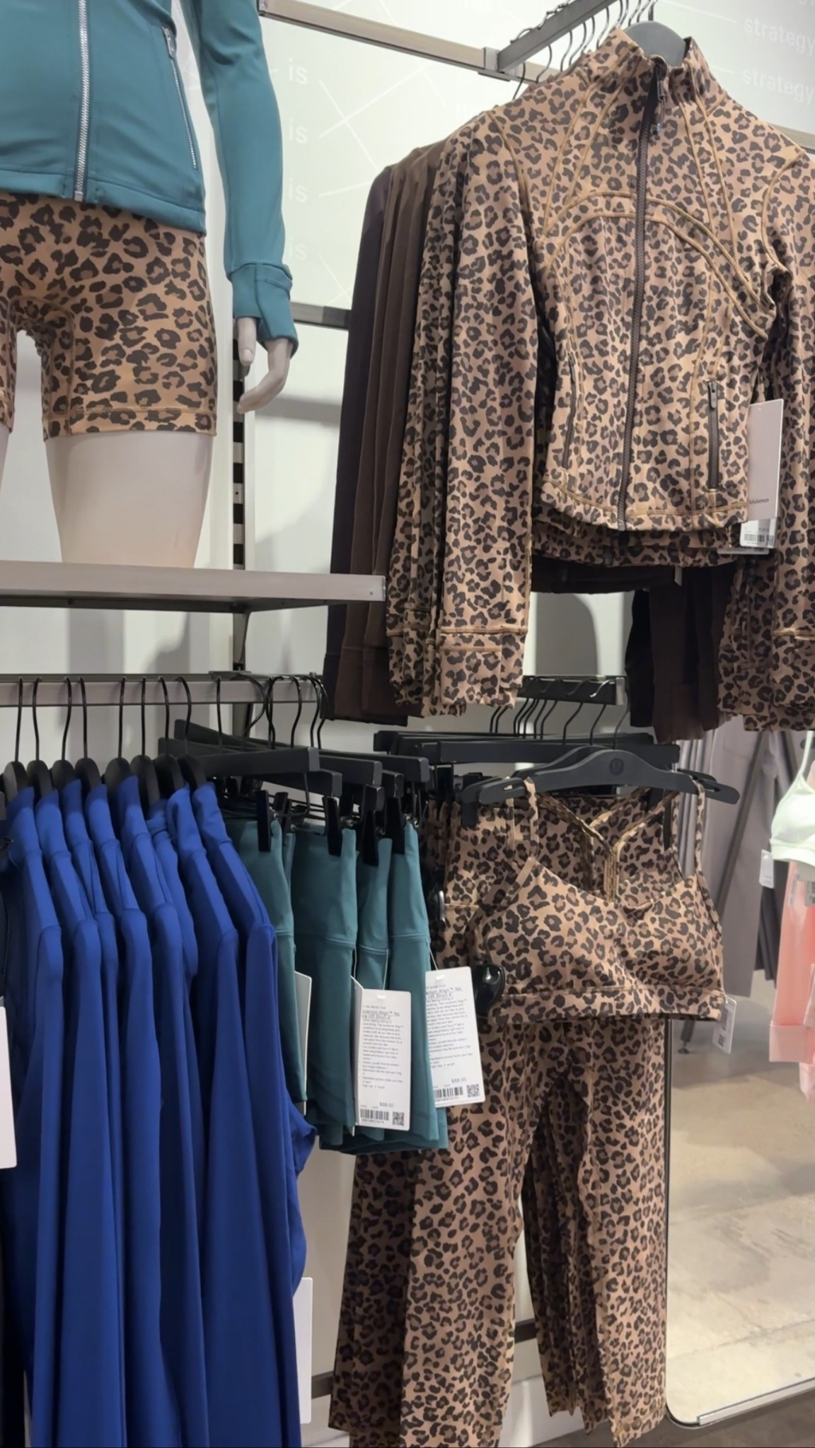 Leopard collection

#LTKSeasonal #LTKActive #LTKootd