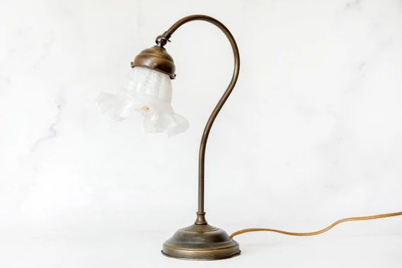 Floral Glass Table Lamp French Brass Gooseneck Lamp Art - Etsy | Etsy (US)
