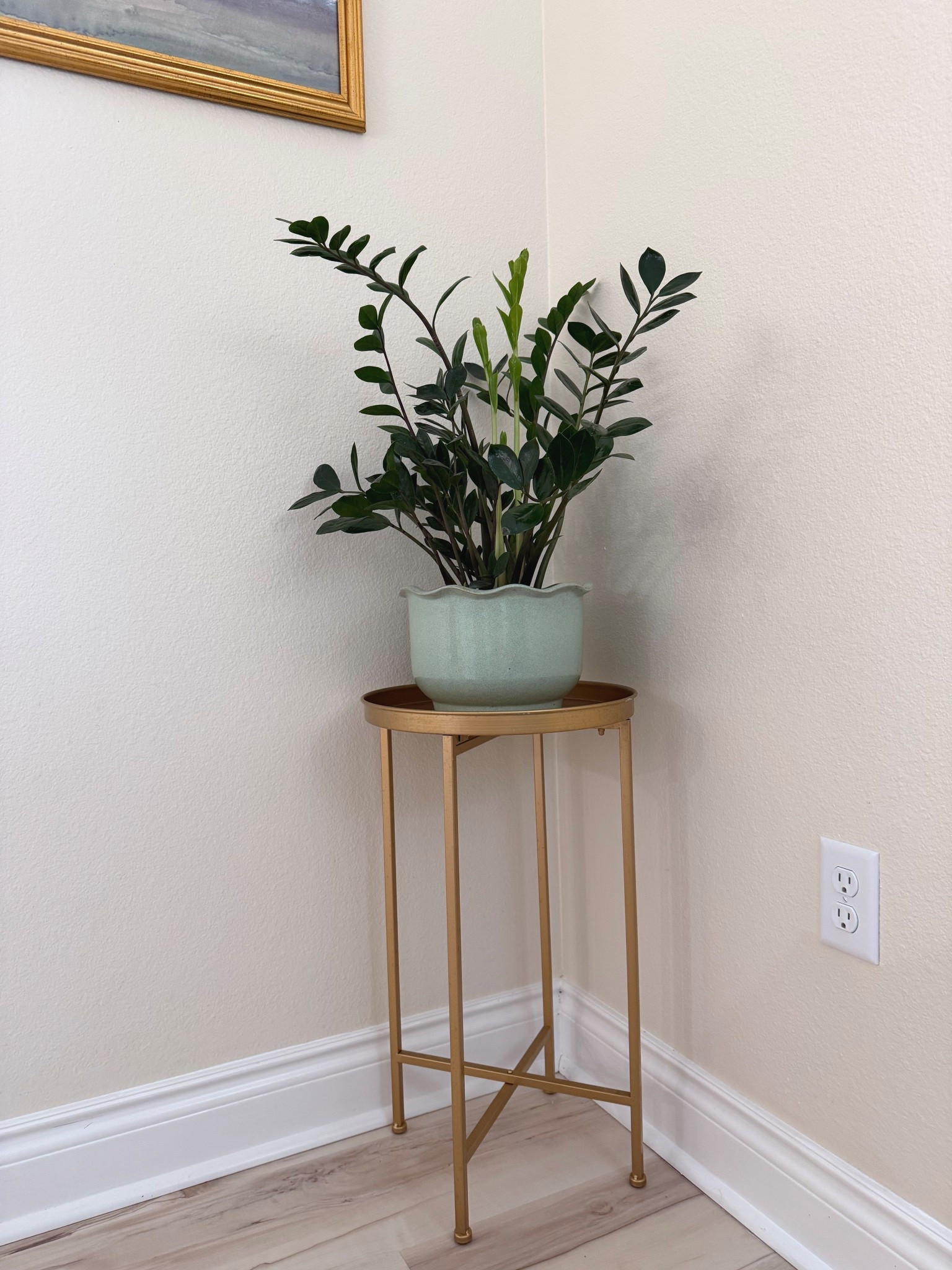 cute little side table! Perfect to use as a plant stand 🪴 or side table!  Super easy to assemble! 

#LTKmomlife #LTKSaleAlert #LTKHome