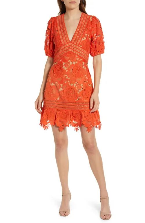 Adelyn Rae 3D Lace A-Line Dress in Coral at Nordstrom, Size Medium | Nordstrom