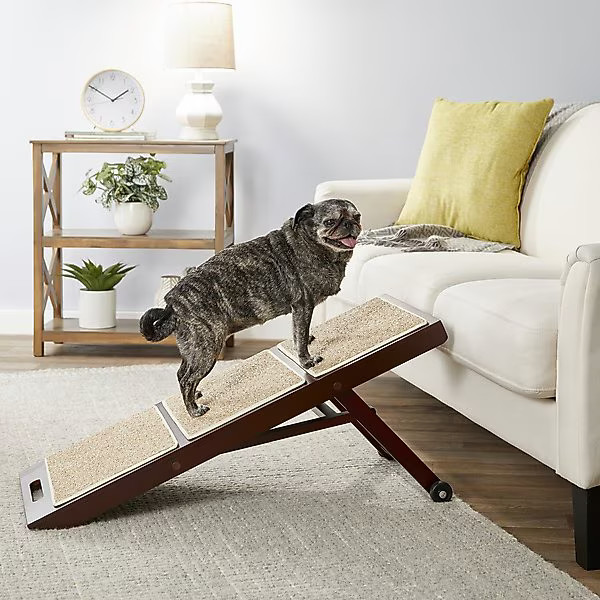 Merry Products Collapsible Cat & Dog Ramp | Chewy.com
