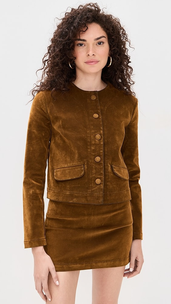 The Lady Like Flocked Velvet Jacket | Shopbop