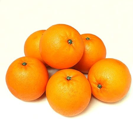 ALEKO 6AFORG Decorative Lifelike Realistic Artificial Fake Fruit Decor Oranges Lot of 6 | Amazon (US)
