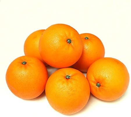 ALEKO 6AFORG Decorative Lifelike Realistic Artificial Fake Fruit Decor Oranges Lot of 6 | Amazon (US)