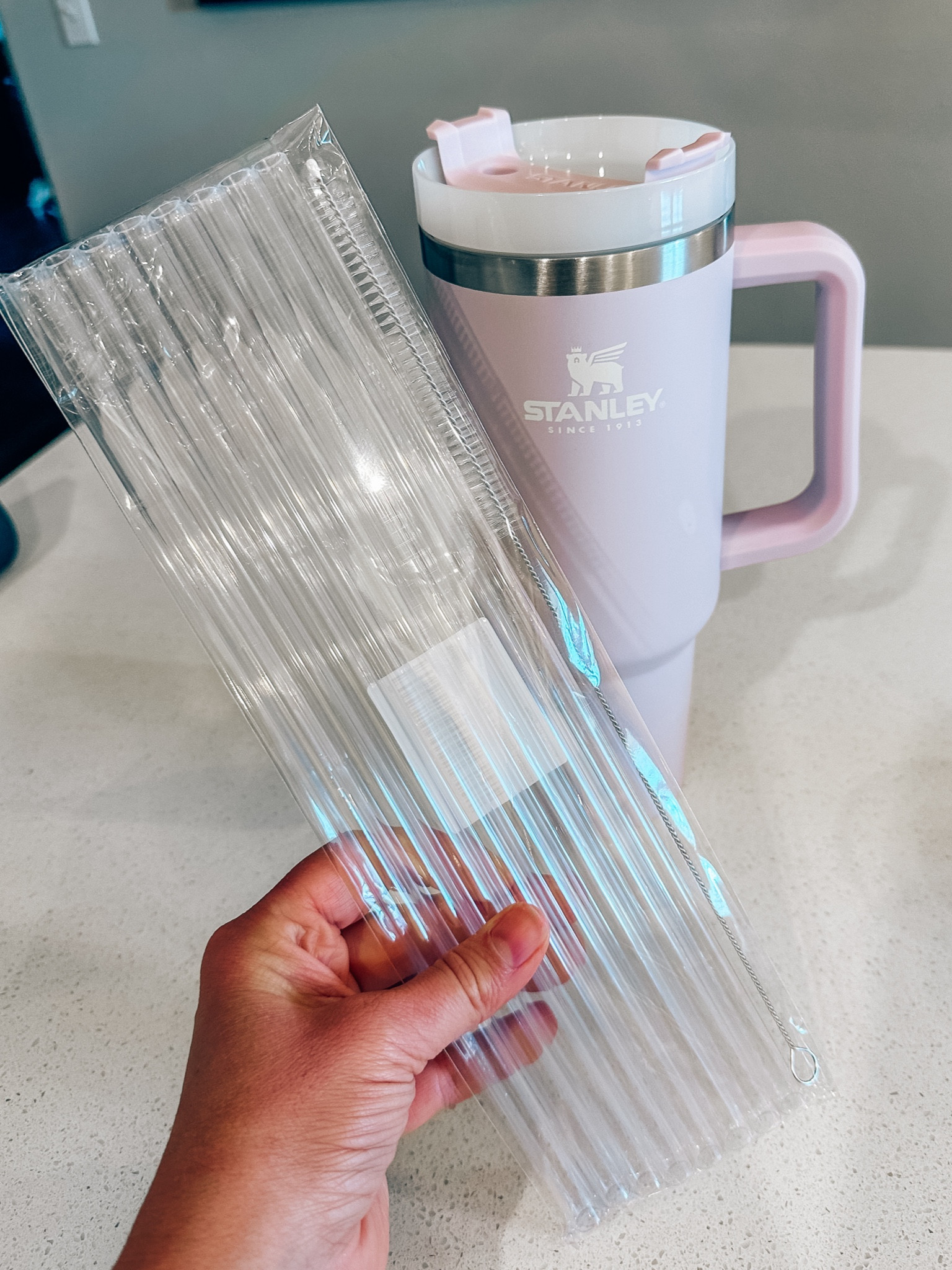 Stanley Straws 
