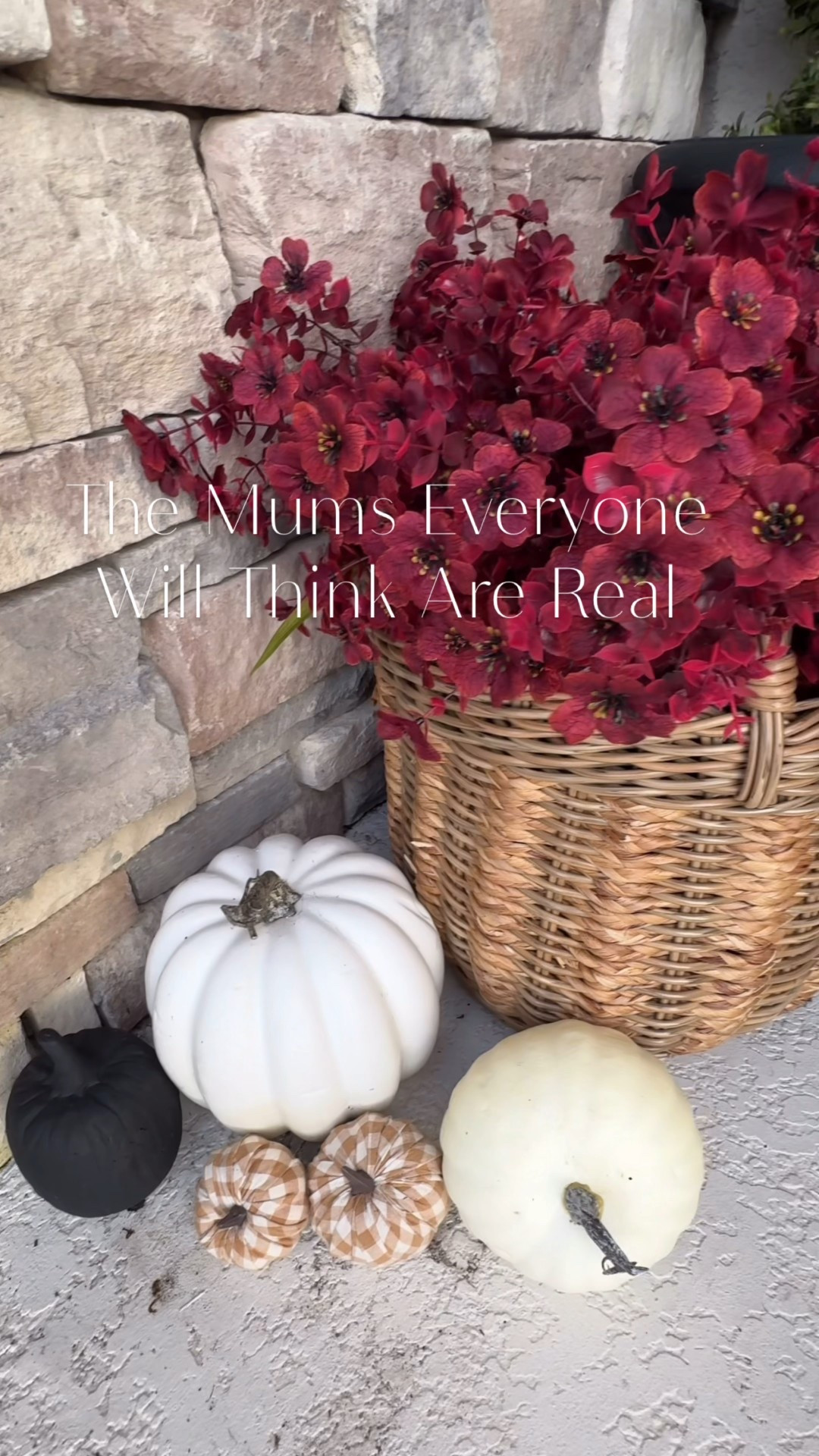 Never-Wilt Mums You’ll Love 🍂

These UV-safe beauties give you that full, cozy fall porch look—without the watering, wilting, or worry of real mums.

#Itkhome #falldecor #porchdecor #fallporch #Itkunder50 #fallfrontporch #mums

#LTKFallSale #LTKFindsUnder50 #LTKSeasonal