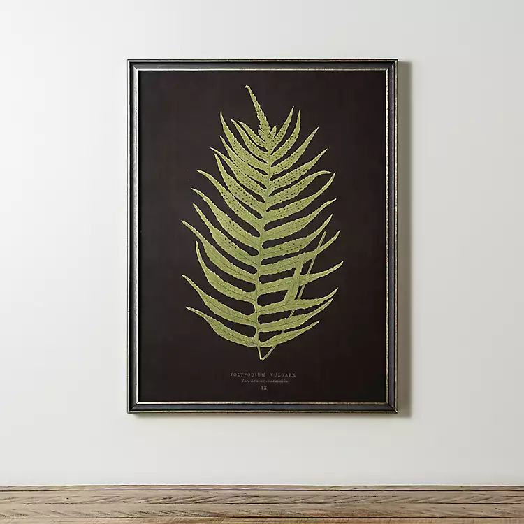 Black Fern II Framed Art Print | Kirkland's Home