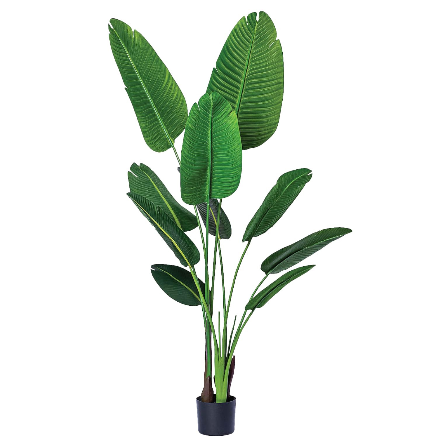 One 5 Foot Artificial Silk Bird of Paradise Palm Tree Potted Plant by Bagari | Amazon (US)
