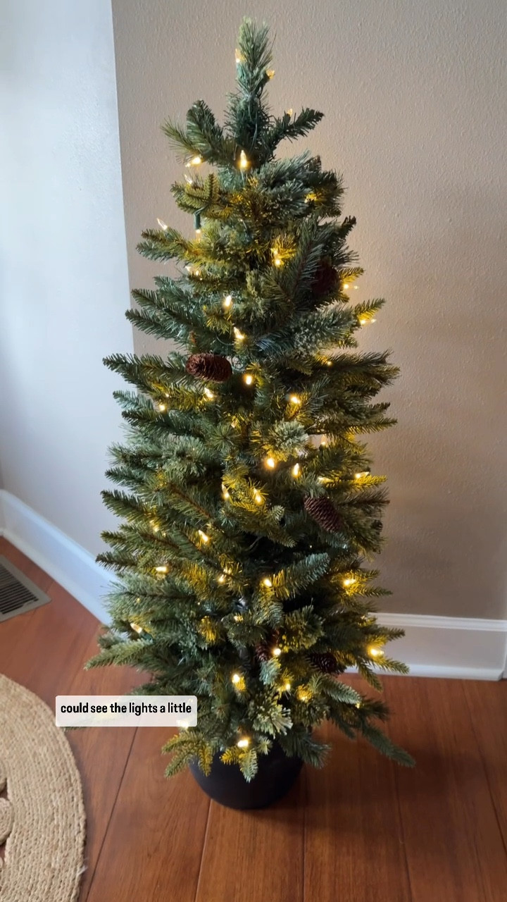 Christmas porch trees from Lowe’s!! I’ve been on the hunt for some nice porch trees for Christmas and these check all of the boxes! 4 foot tall, full & prelit with color and white lights! 

#LTKHoliday #LTKSeasonal #LTKVideo