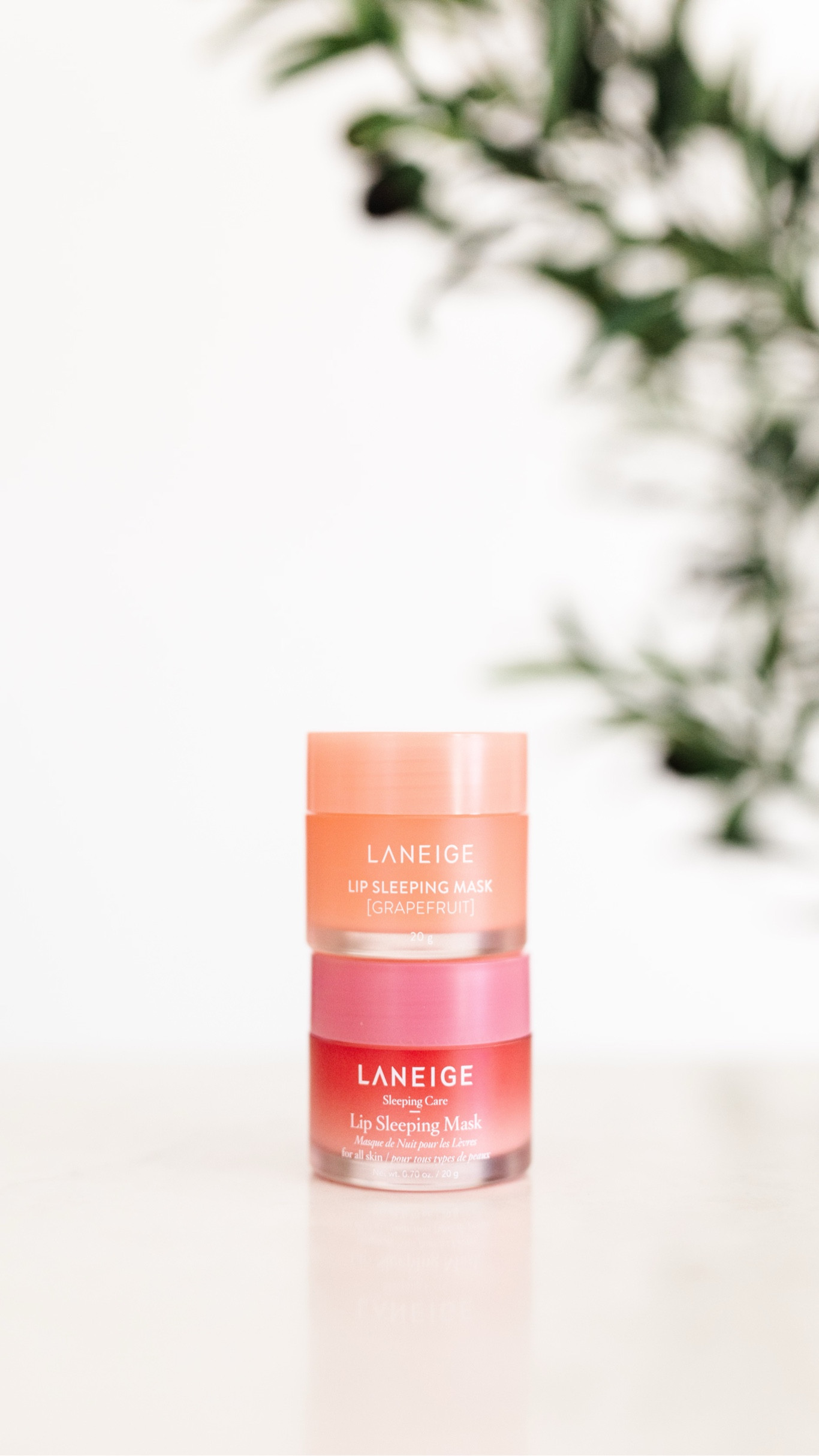 Goodbye dry, chapped lips

#LTKbeauty