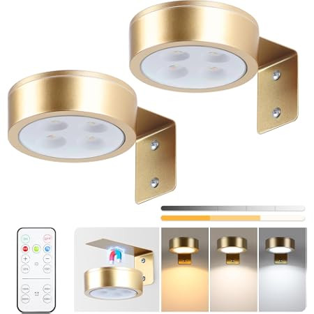 EZVALO Picture Lights for Wall, 2000mAh Rechargeable Battery Magnetic Poster Lights with 3 Color ... | Amazon (US)