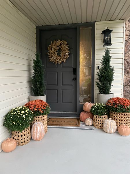 Displaying Fall Decor on my front porch has motivated a quick spruce up. A little paint, some much needed hardware, and these Target pumpkins and baskets made it extra pretty.

#LTKSeasonal #LTKHalloween #LTKhome