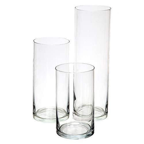 Glass Cylinder Vases Set of 3 Decorative Centerpieces for Home or Wedding by Royal Imports | Amazon (US)