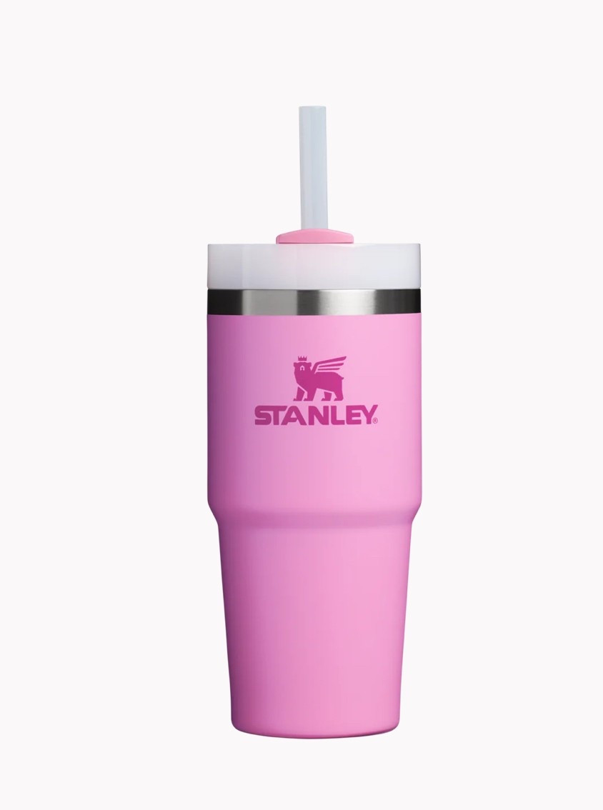 The cutest Stanley cup for babies, toddlers, and kids—such a fun little addition to your spring finds! Perfect for staying stylish and hydrated on the go. 

Kids spring fashion ❤️

#LTKBump #LTKBaby #LTKKids