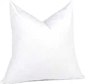 puredown® 28 x 28 Feather Down Throw Pillow Insert, 1 Pack Euro Pillow for Decorative Bed Cushio... | Amazon (US)