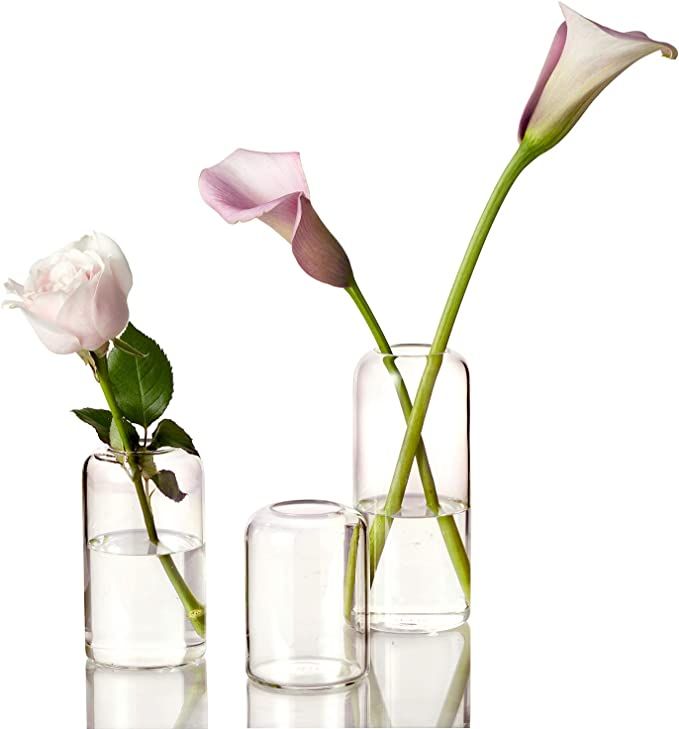 ZENS Bud Vases Glass Set, Clear Small Serene Spaces Living Vase Set of 3 for Centerpieces Home De... | Amazon (US)