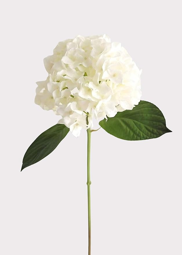 Afloral | Artificial Flower Arrangements | Faux Hydrangea in Talc White | Faux Plants for Vase | ... | Amazon (US)