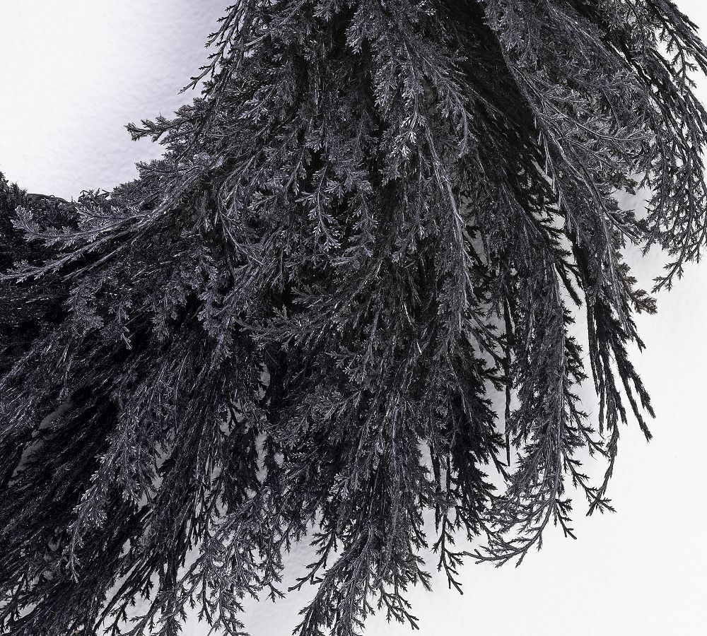 Faux Black Pampas Grass Wreath | Pottery Barn (US)