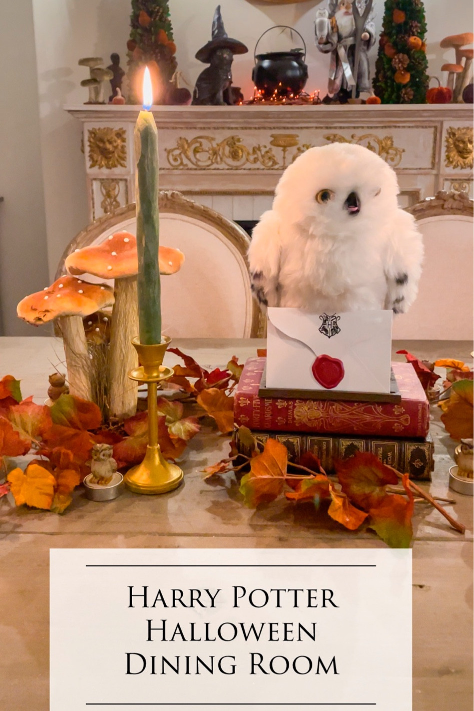 Harry Potter party decor - perfect for Halloween!

#LTKSeasonal