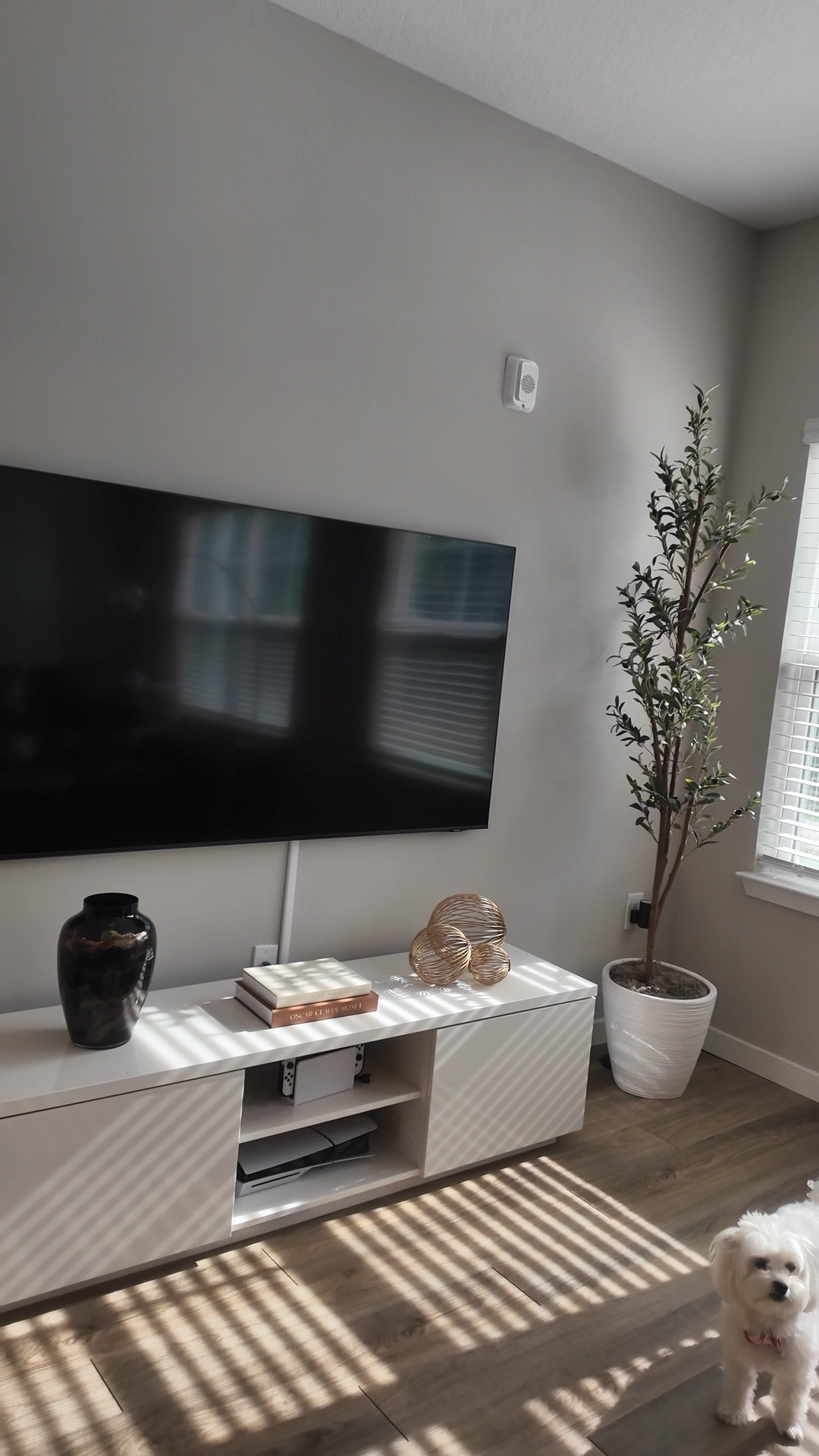 Modern Console TV Decor

#LTKHome #LTKWatchNow #LTKU