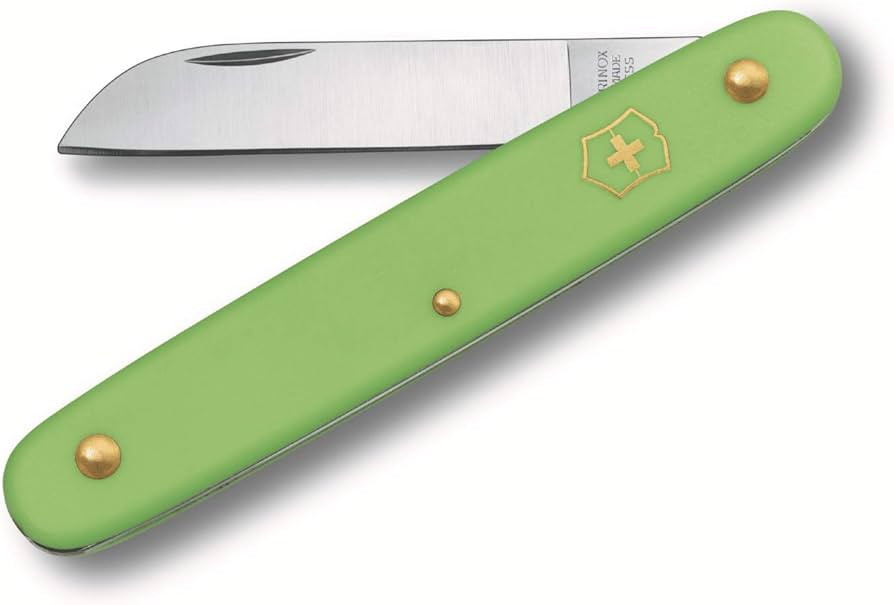 Victorinox Floral Knife, straight 4" blade, pastel green handle 3.9050.47 | Amazon (US)