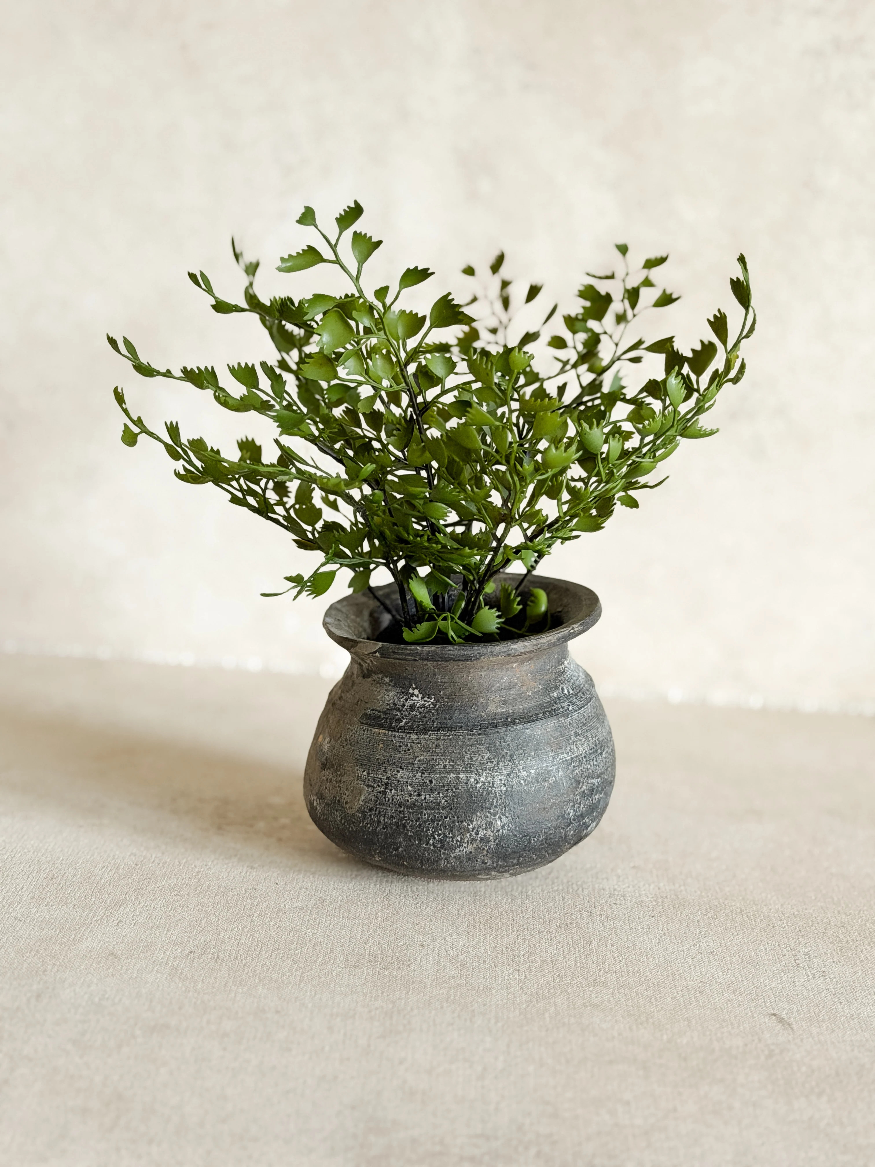 Faux Maidenhair Fern, 2.5" | Cottage and Key