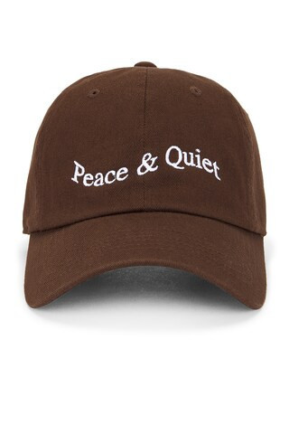 Museum of Peace and Quiet Wordmark Dad Hat in Grey | FWRD 