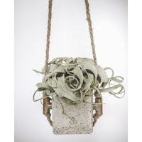 Large Light Grey Hanging Concrete Air Plant Display | Etsy (US)