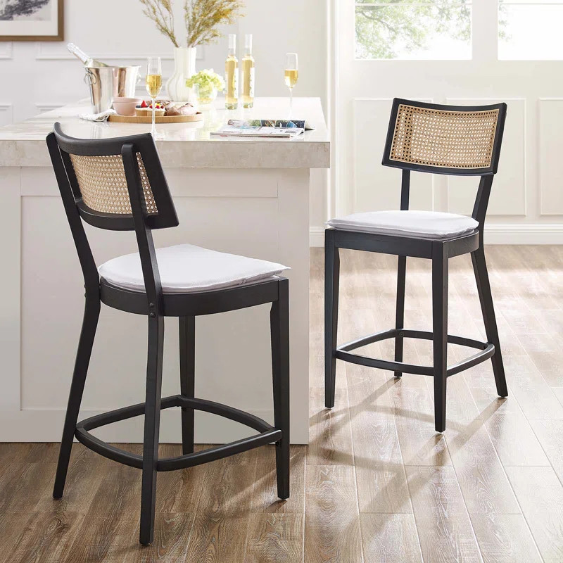 Caledonia 26.8 Counter Stool (Set of 2) | Wayfair North America