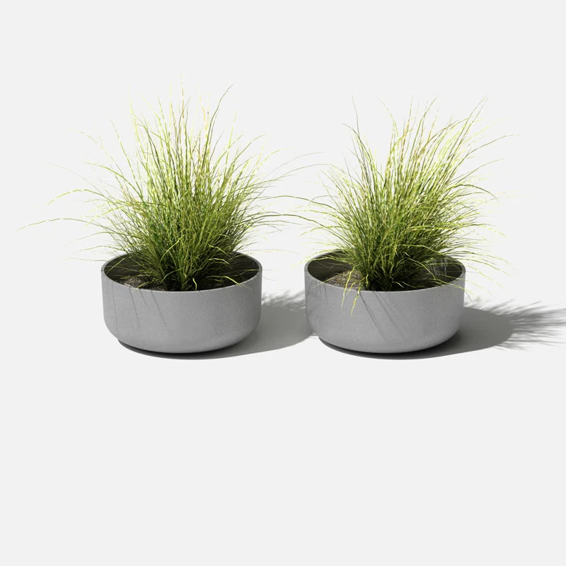 Pure Series Plastic Pot Planter | Wayfair North America
